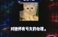 娱乐吃瓜live,揭秘娱乐圈幕后故事