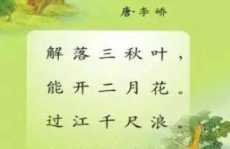 带风的古诗,带风的古诗魅力探寻