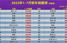 2023汽车销量排行榜最新,比亚迪跃升至第五，吉利紧随其后