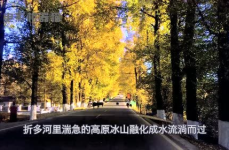 娱乐吃瓜君2,揭秘娱乐圈背后的秘密与八卦