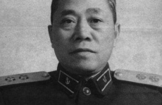 娱乐吃瓜酱陶勇,娱乐吃瓜酱背后的故事与传奇