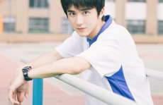 娱乐圈吃瓜爆料张新成,揭秘背后的真相与争议