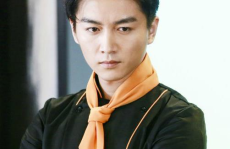 陈晓演过的所有的电视剧,从古装传奇到现代情感，一部剧见证的成长之路