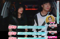 爱宠张表哥和娱乐吃瓜君,揭秘娱乐圈背后的温馨故事